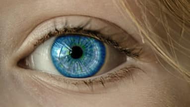 Ist Zustand - Schaue den Tatsachen endlich ins Auge